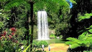 DIGNIFIED PERSON = DISABLED PERSON – Poetry Reading by Donna De&nbsp;Guglielmo