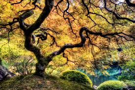 Rite of Passage, Poetry by Olalekan Joseph&nbsp;Ajayi