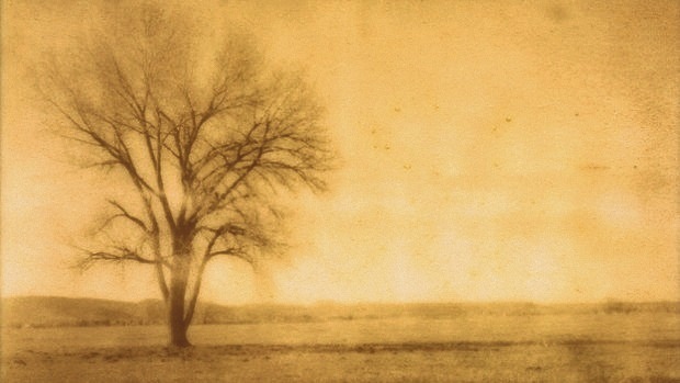 Part 1: Read the best of FAMILY&nbsp;Poetry