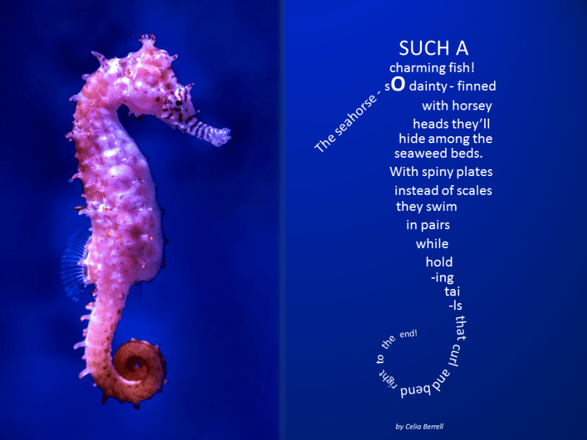 The Seahorse 2