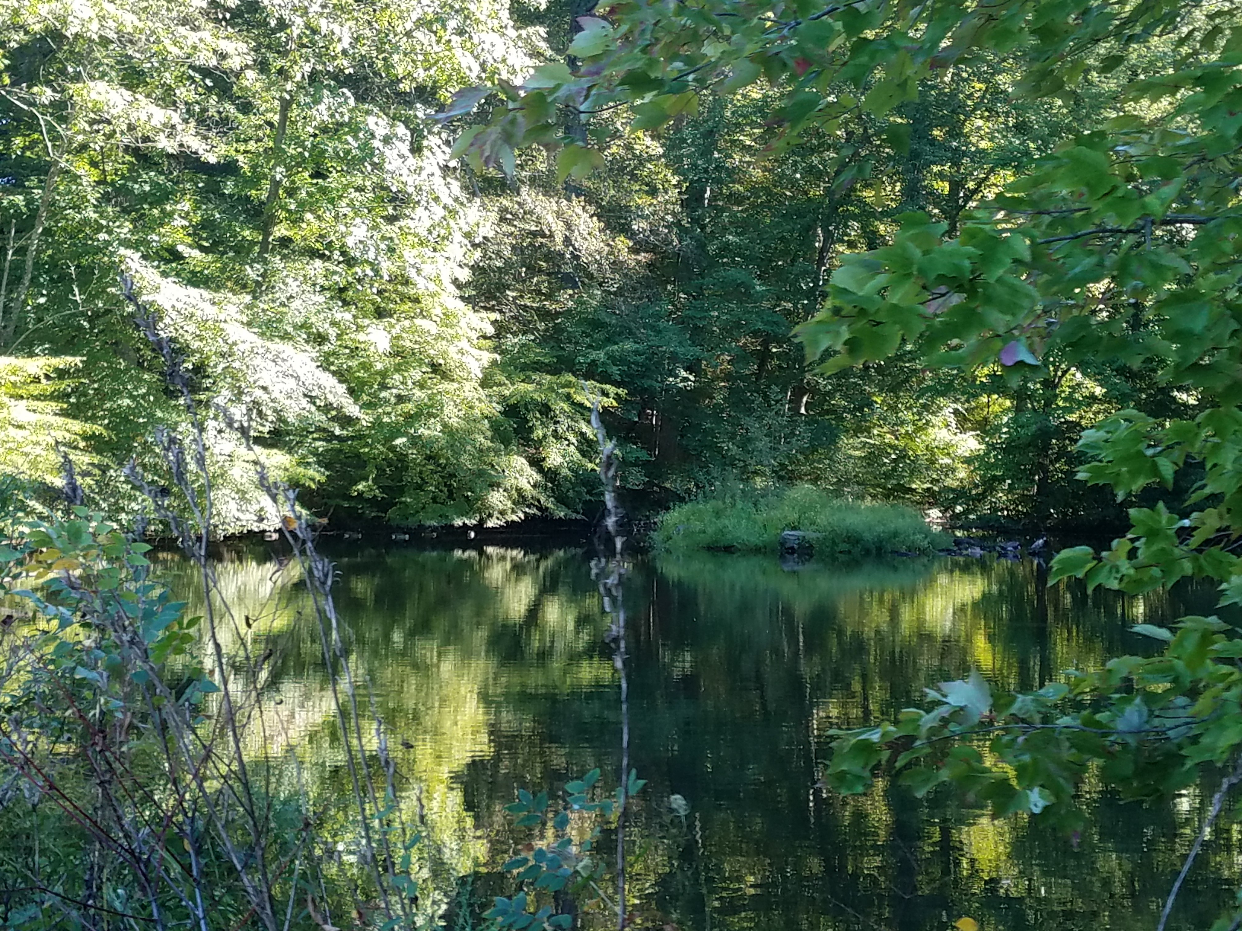 20190915_155510